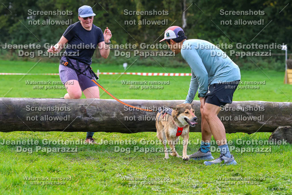 Dog Paparazzi -  SD1026-2251 | Dog Paparazzi Jeanette Grottendiek Fotografie & Videografie - Realisiert mit Pictrs.com