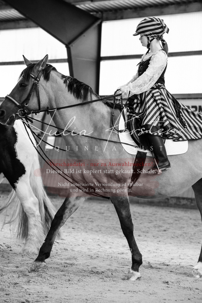 DSC_7150 | Pferde- und Turnierfotografie in Westsachsen. Pferdeportraits, Auftragszeichnungen und intuitive Kunst.