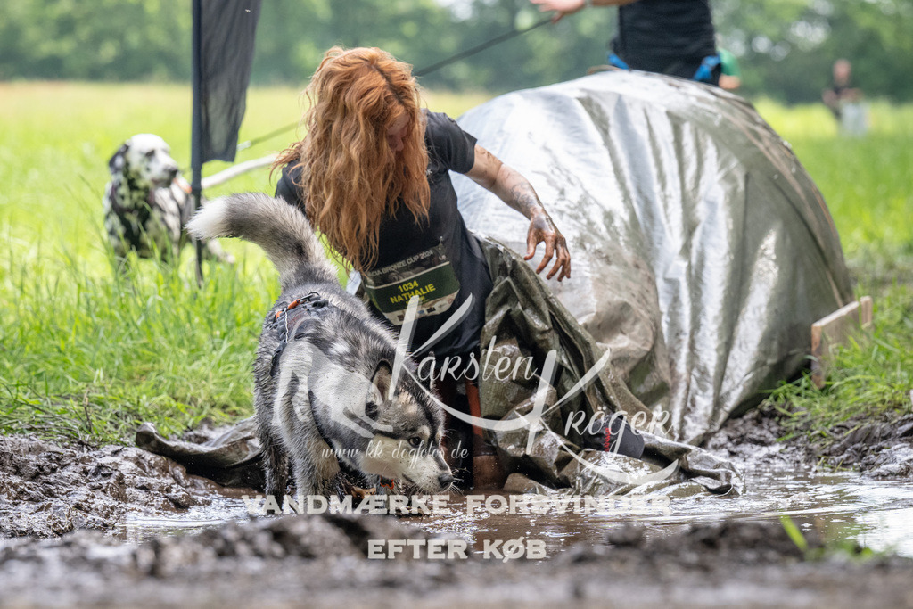 1138_ZZ93440 | kk-dogfotos