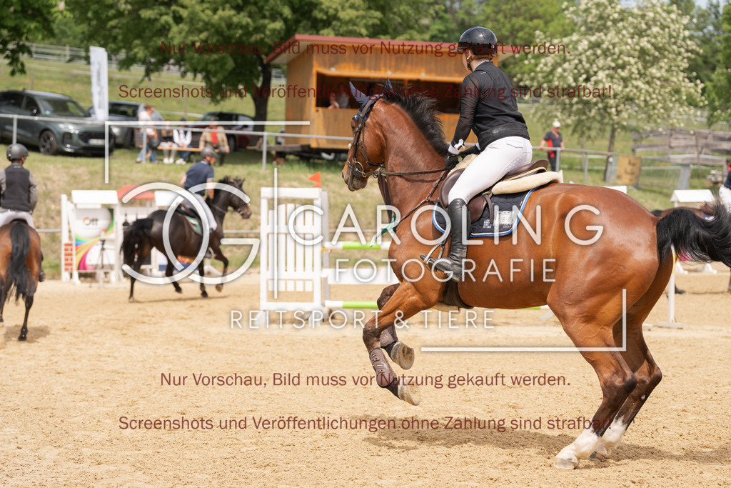 DSC06836 | Springturnier_Ehingen_Mai_2026, Mia_Kunze, Chaplis_4