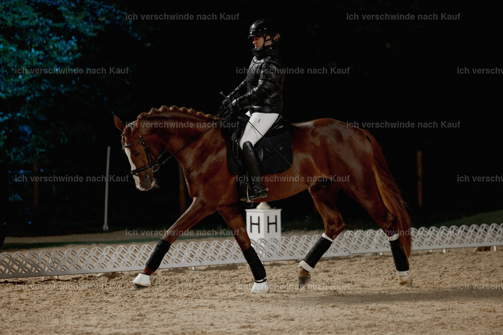 FHClassics-10 | working equitationturnier fotograf videograf stoibphotography marixx film working equitation deutschland reitsport turnierfotografie eventfotografie equestrian events