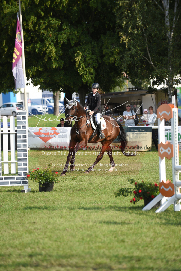 DSC_8668 | Pferde- und Turnierfotografie in Westsachsen. Pferdeportraits, Auftragszeichnungen und intuitive Kunst.