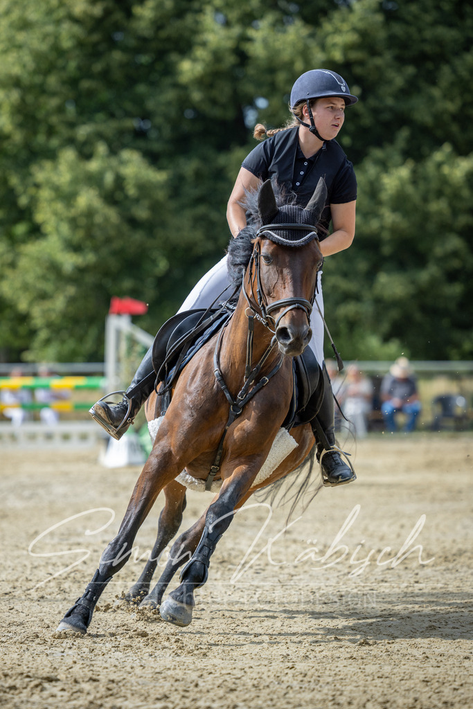 20260704-_3LI1433 | Tierfotografie Pferde, Hunde, Katzen, Haustiere.
Turnierfotografie Reitturniere, Reiten, Springreiten, Dressur in Hanau, dem Main-Kinzig-Kreis und dem Rhein-Main- Gebiet um Frankfurt