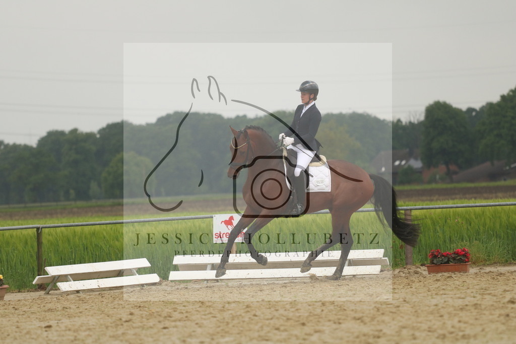 IMG_7668 | jessicahollubetz_pferdephotographie - Realisiert mit Pictrs.com