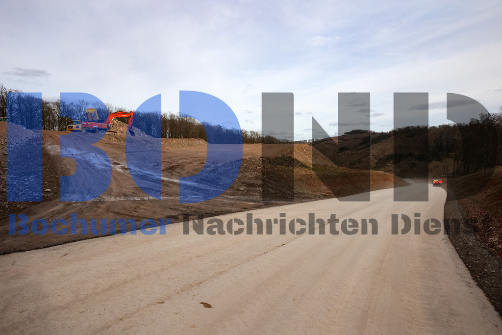 SES_LUDRAH20250225-17 | bond - Realisiert mit Pictrs.com