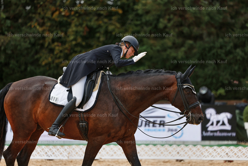 8_2-088-DRESSUR S_  -StoibPH-4449 | working equitationturnier fotograf videograf stoibphotography marixx film working equitation deutschland reitsport turnierfotografie eventfotografie equestrian events
