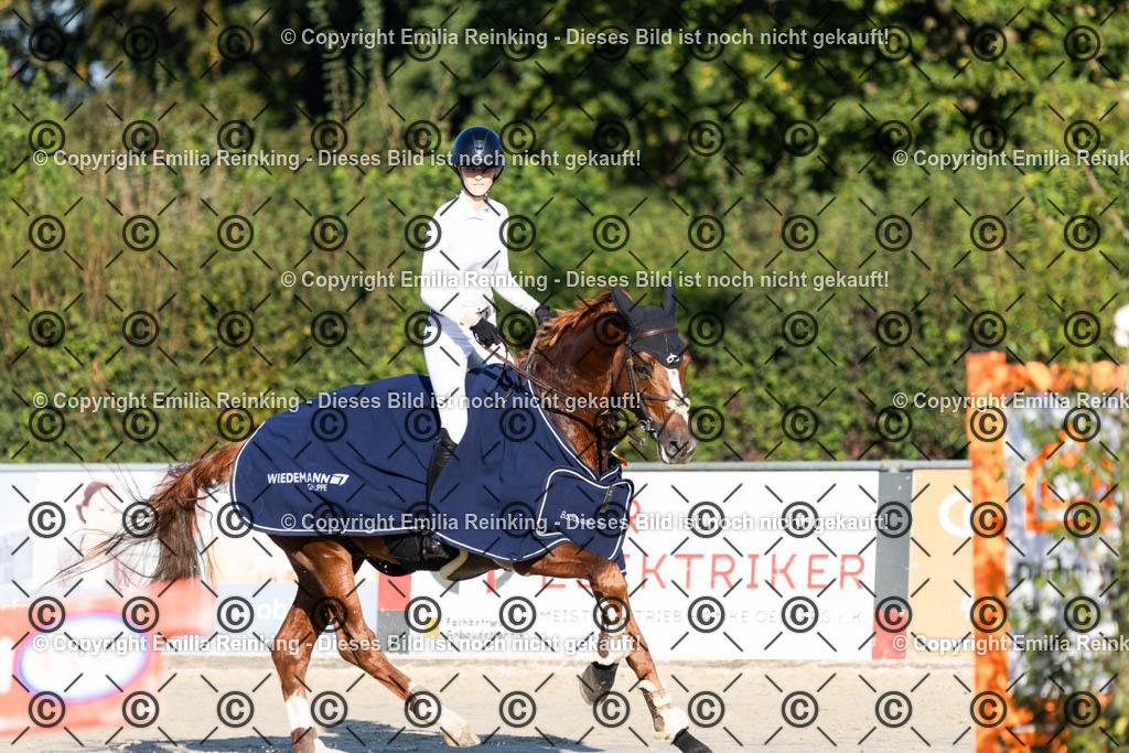 CL5A7035 | Emilia Reinking Fotografie - Realisiert mit Pictrs.com