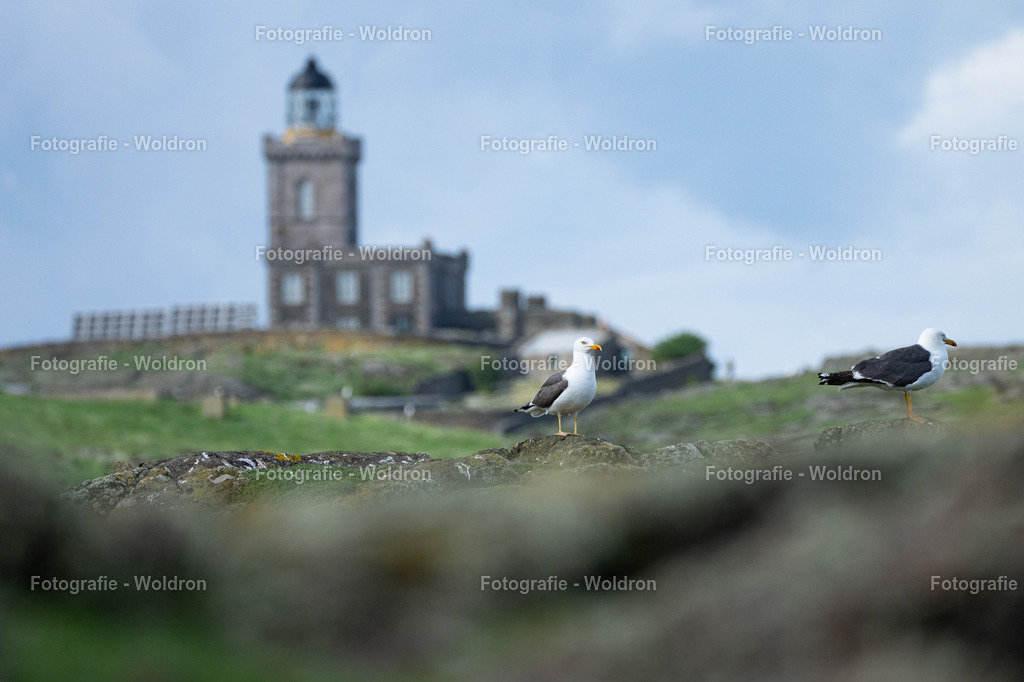20230815 Isle of Sky - St.Andrews - Dundee-74 | Fotografie Woldron