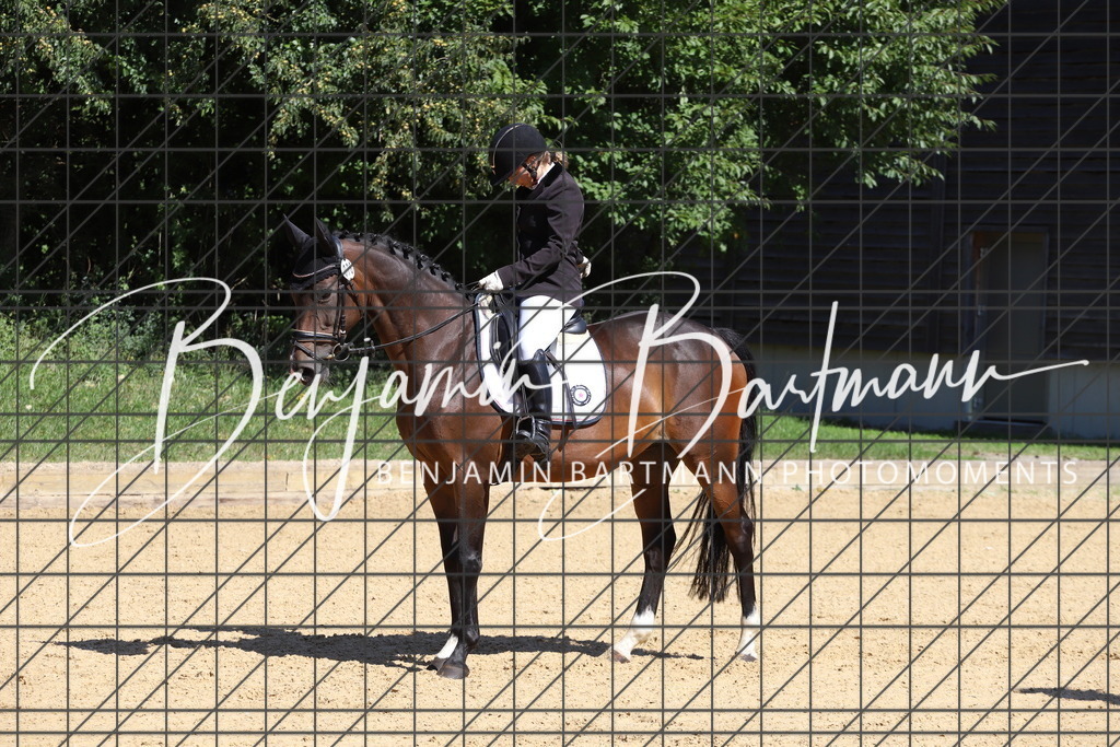 IMG_6146 | Benjamin Bartmann Photomoments