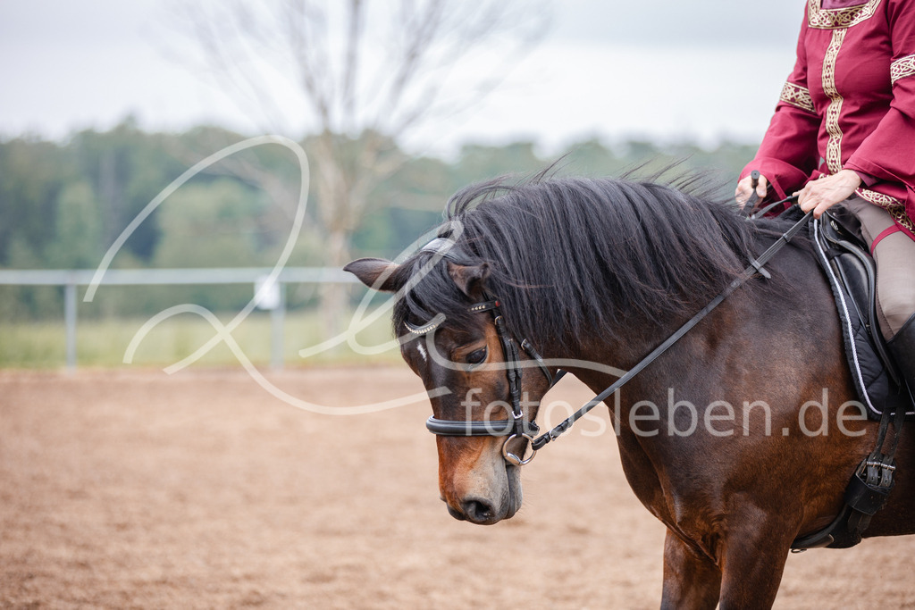 846A0365 | fotosleben - Realisiert mit Pictrs.com
