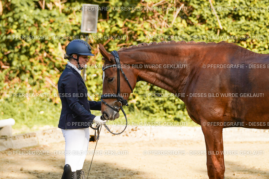 DSC05752 | Pferdegrafie