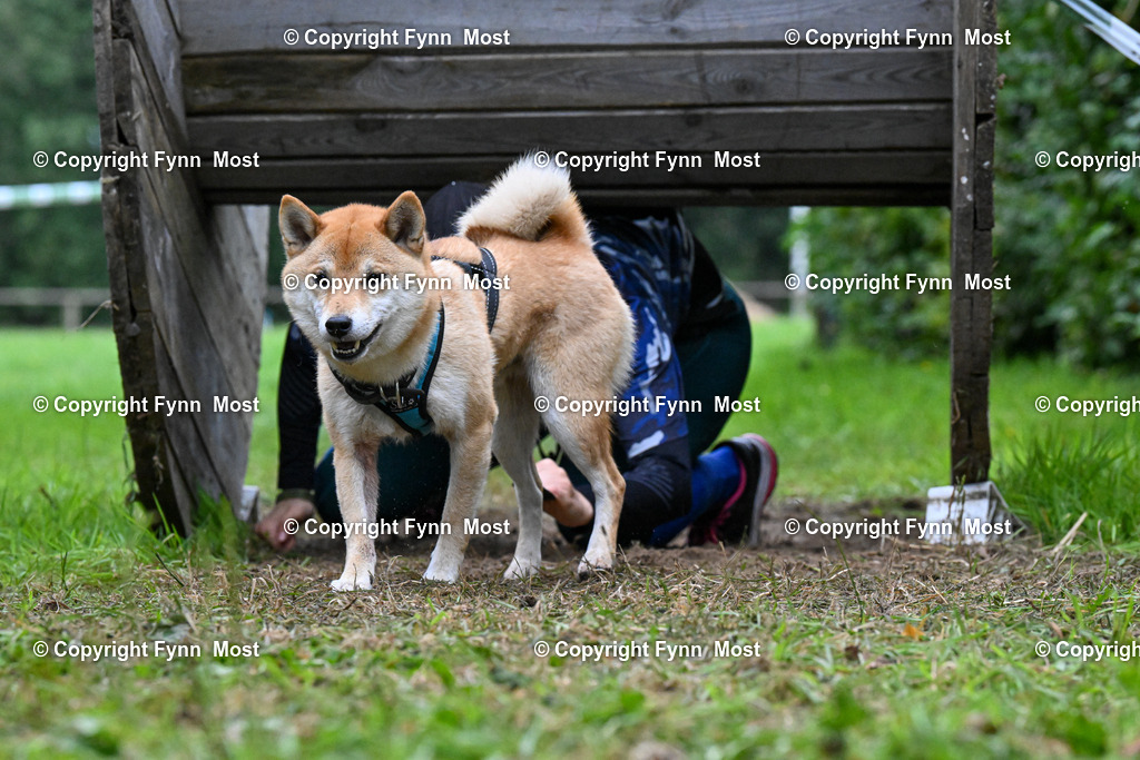 DSC_9743 | Hallo und herzlich Willkommen auf meiner Shop-Seite Fynn Most.

Ich wünsche Dir viel Spaß beim stöbern durch die Bilder, wenn Du Fragen hast oder Bilder vermisst, kannst du mir gerne eine Nachricht schreiben. - Realisiert mit Pictrs.com