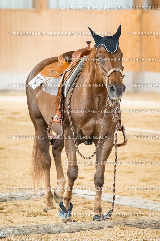 DSC07029 | Pferdegrafie