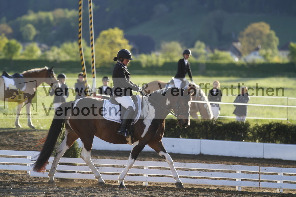 _MG_4447 | equestrian-live-com