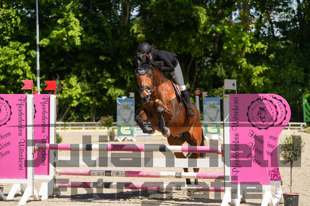 DSC02216 | Julian Held Fotografie - Realisiert mit Pictrs.com