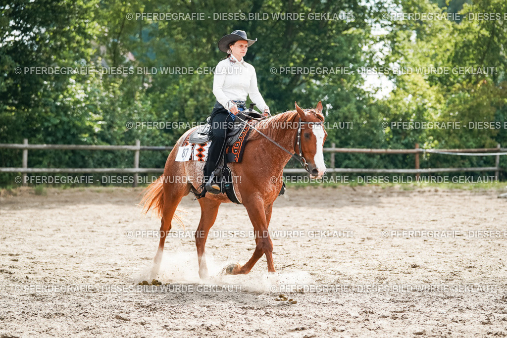 DSC04459 | Pferdegrafie