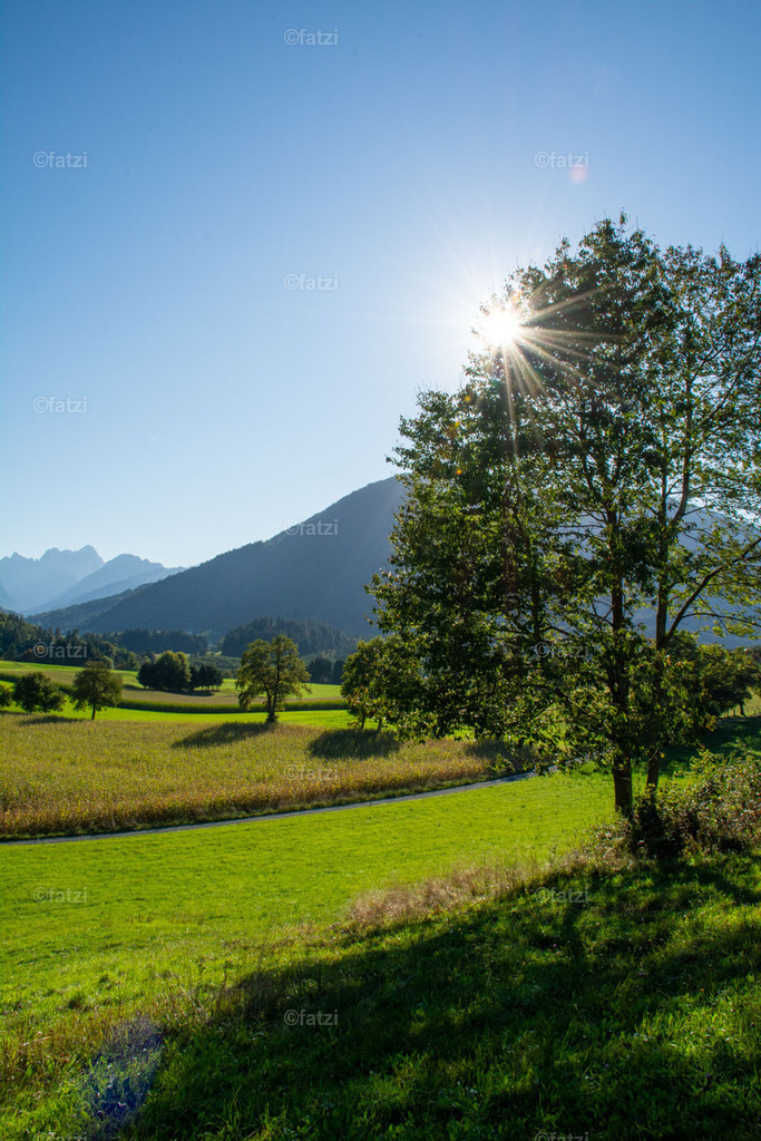 Dobr Panorama 2025 (Hohenthurn)_170650__fatzi | Fatzi Bilder-Archiv! 
Die Bilder sind für private Nutzung lizenzfrei. Die kommerzielle Nutzung ist möglich und erwünscht, jedoch bitte ich um vorherige Kontaktaufnahme per E-Mail (info@fatzi.at) oder unter +43 650 7828269 - Realisiert mit Pictrs.com