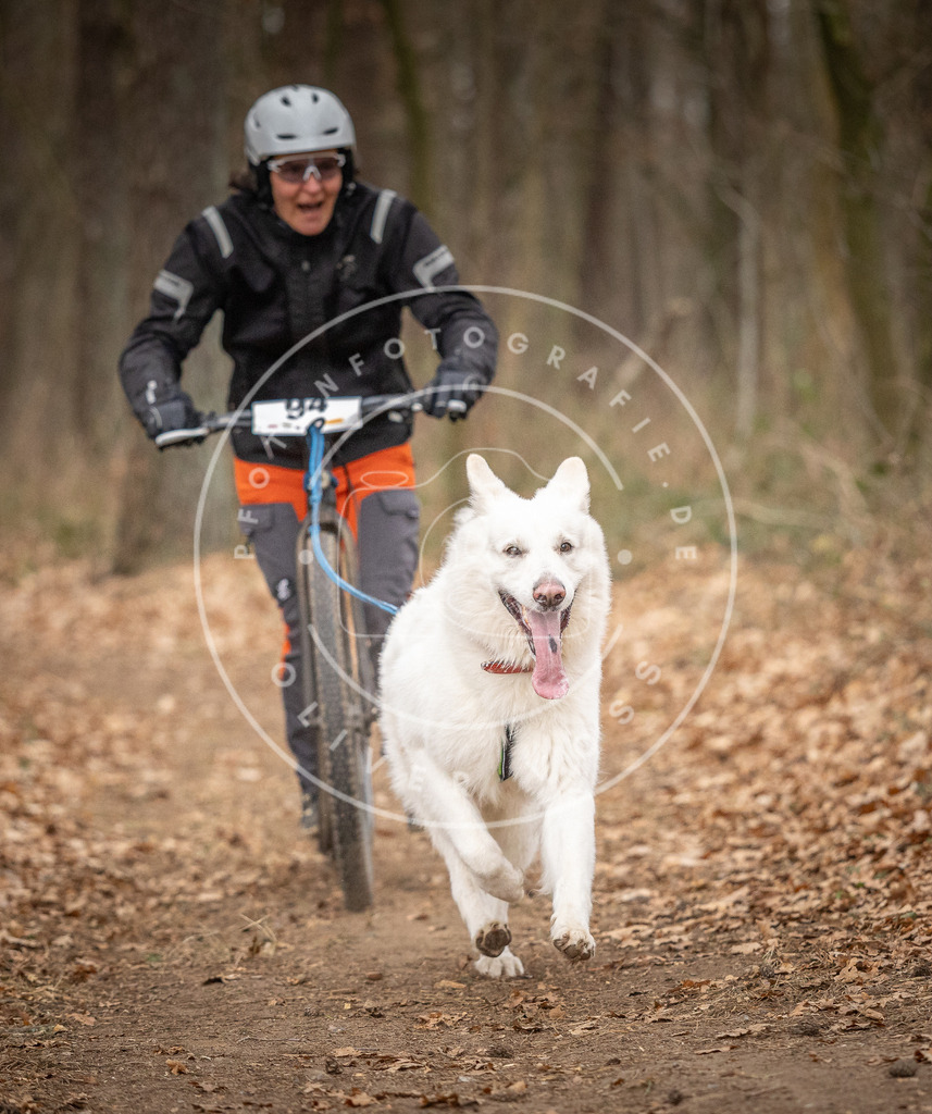 Pfotenfotografie_DV3A7240 | Hundefotografie, Tierfotograf, Pfotenfotografie, Fotoshooting Hund, Hunde Portrait, Hundesport, Hundeportraits, Heideshooting, Hunde, Sportfotograf, Hundefotograf, Turnierhundsport, THS,  - Realisiert mit Pictrs.com