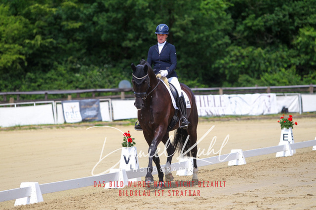 DKP45972 | Turniersportfotografie; Pferdefotografie; Dressurfotografie