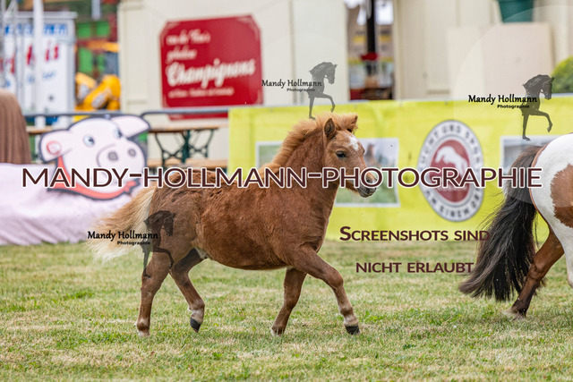 LTN 1 (243 von 918) | mandyhollmannphotographie