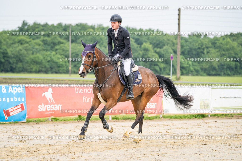 DSC09356 | Pferdegrafie