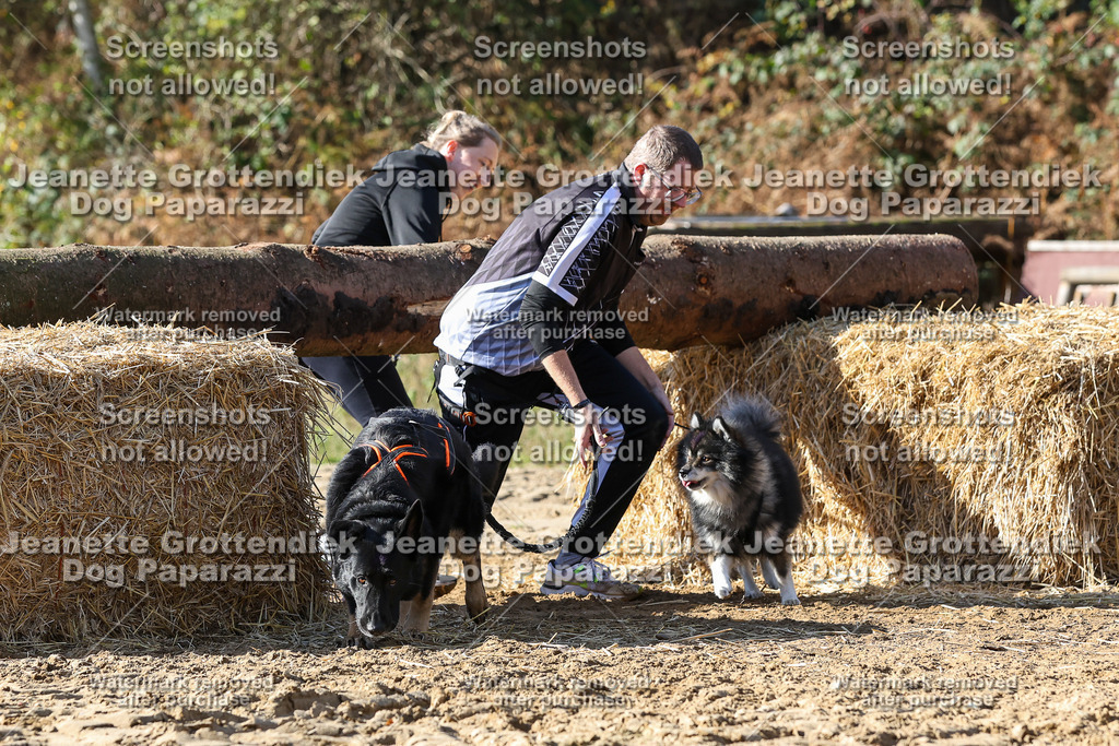 Dog Paparazzi - Strongdog 10-25-4807 | Dog Paparazzi Jeanette Grottendiek Fotografie & Videografie - Realisiert mit Pictrs.com