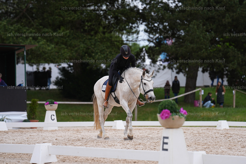 PI26_DR_267_StoibphotographySIN09945.jpg | working equitationturnier fotograf videograf stoibphotography marixx film working equitation deutschland reitsport turnierfotografie eventfotografie equestrian events