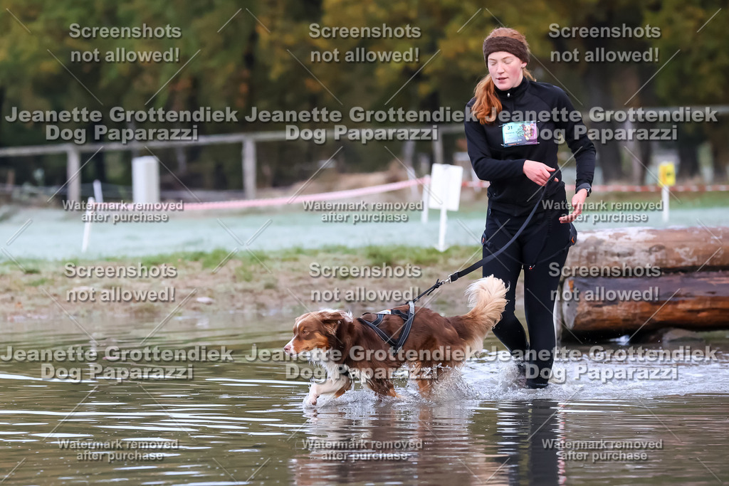 Dog Paparazzi - Strongdog 10-25-6166 | Dog Paparazzi Jeanette Grottendiek Fotografie & Videografie - Realisiert mit Pictrs.com
