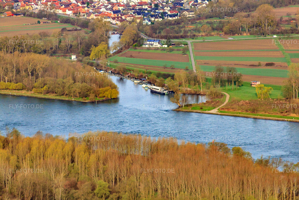 Luftbild: Lautermündung in Neuburg am Rhein im Bundesland Rheinland-Pfalz in Deutschland. Foto: IMG_25500.jpg vom 02.04.2010 durch Werner Riehm/FLY-FOTO.de