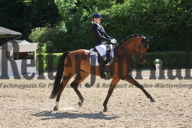 Böblingen_2025_Prfg.Nr.08_Dressurprüfung_Kl.M_Nürnberger Burgpokal_Hanna Käppler_Vitasprint (10) | Alle Fotos der Reiterjournal Fotografin Doris Matthaes im Reiterjournal Online-Fotoshop. - Realisiert mit Pictrs.com