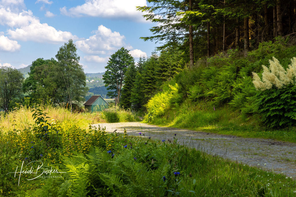 Alte Scheune in Westfeld | Alte Scheune in Westfeld im Schmallenberger Sauerland - Realisiert mit Pictrs.com