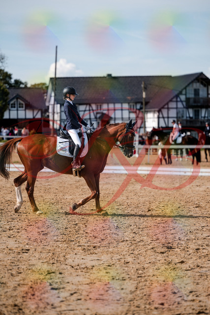 2026_10_03_Siefer-Hof_132843_Z63_89841256 | Professionelle Reitsport-, Turnier- und Eventfotografie von Robert Broda. Galerien mit ausgewählten und bearbeiteten Bildern direkt online ansehen und bestellen.