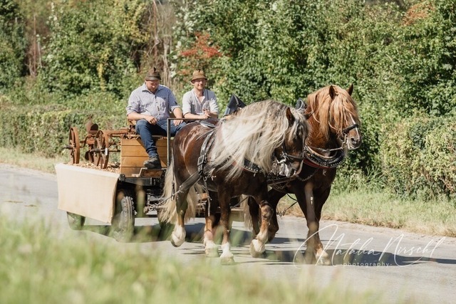 7V6A1667 | natalia-nirschl-photography