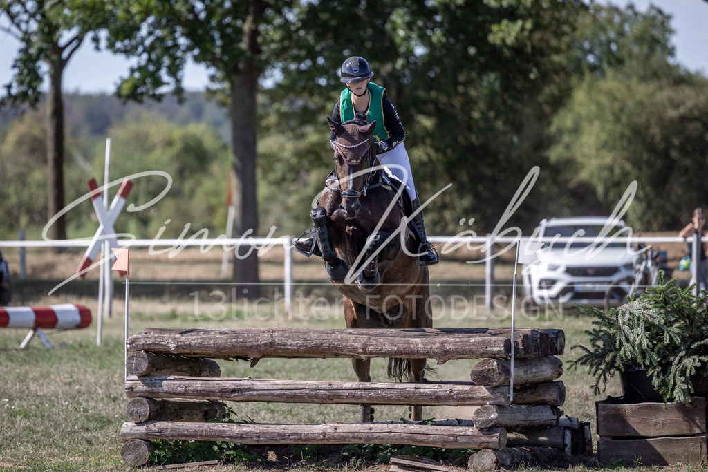 20260906-_3LI5706 | Tierfotografie Pferde, Hunde, Katzen, Haustiere.
Turnierfotografie Reitturniere, Reiten, Springreiten, Dressur in Hanau, dem Main-Kinzig-Kreis und dem Rhein-Main- Gebiet um Frankfurt