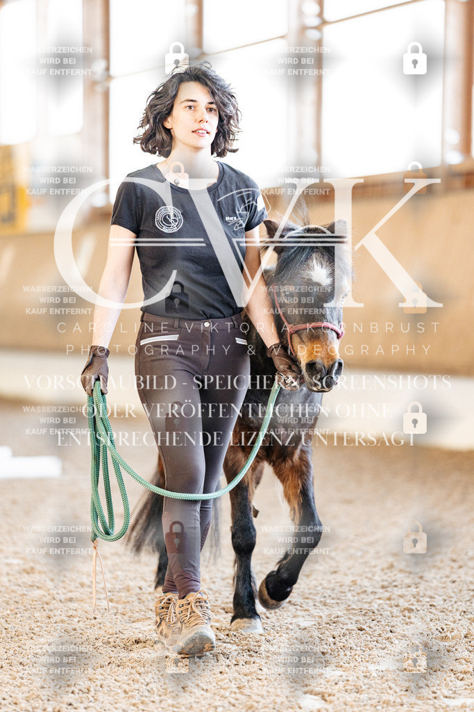 CK905200 | Turnierfotografie Pferdefotografie Trier Rheinland-Pfalz Pferdesport Reitsport Tierfotografie Sportfotografie Pferdevideo Pferdevideografie Equestrianvideography equestrianphotography  - Realisiert mit Pictrs.com
