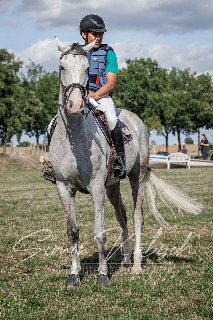 20260905-_3LI9961 | Tierfotografie Pferde, Hunde, Katzen, Haustiere.
Turnierfotografie Reitturniere, Reiten, Springreiten, Dressur in Hanau, dem Main-Kinzig-Kreis und dem Rhein-Main- Gebiet um Frankfurt