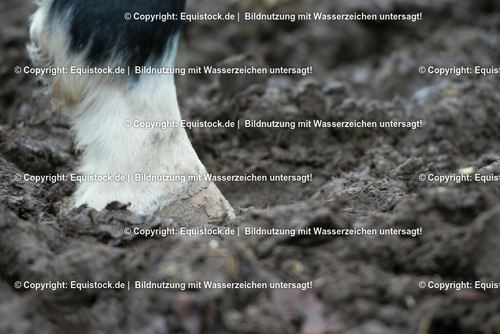 20171206_Huf_dreckig_Hartig_0004 | Foto: Thomas Hartig