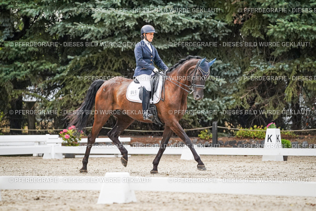 DSC09508 | Pferdegrafie