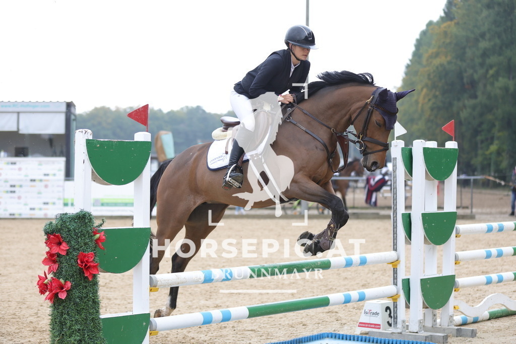 0P6A1793 | Willkommen bei Brunnmayr - Design & Fotografie – Ihrem Spezialisten für Reitturniere und Pferdeveranstaltungen in Oberösterreich, Salzburg und Bayern! Seit über 17 Jahren sind wir leidenschaftlich dabei.
