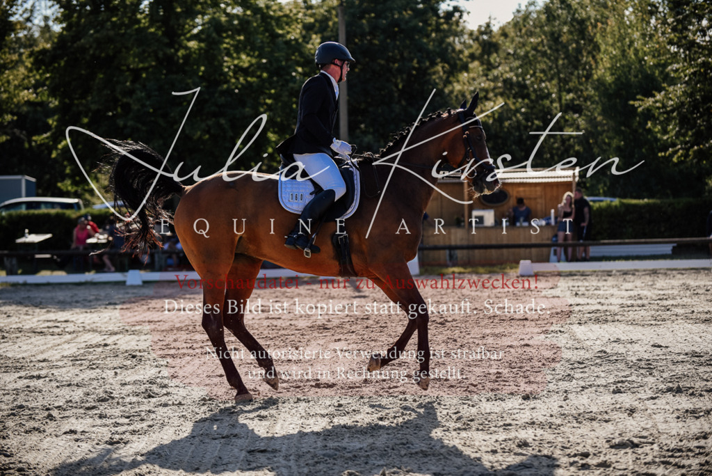 DSC_0607 | Pferde- und Turnierfotografie in Westsachsen. Pferdeportraits, Auftragszeichnungen und intuitive Kunst.