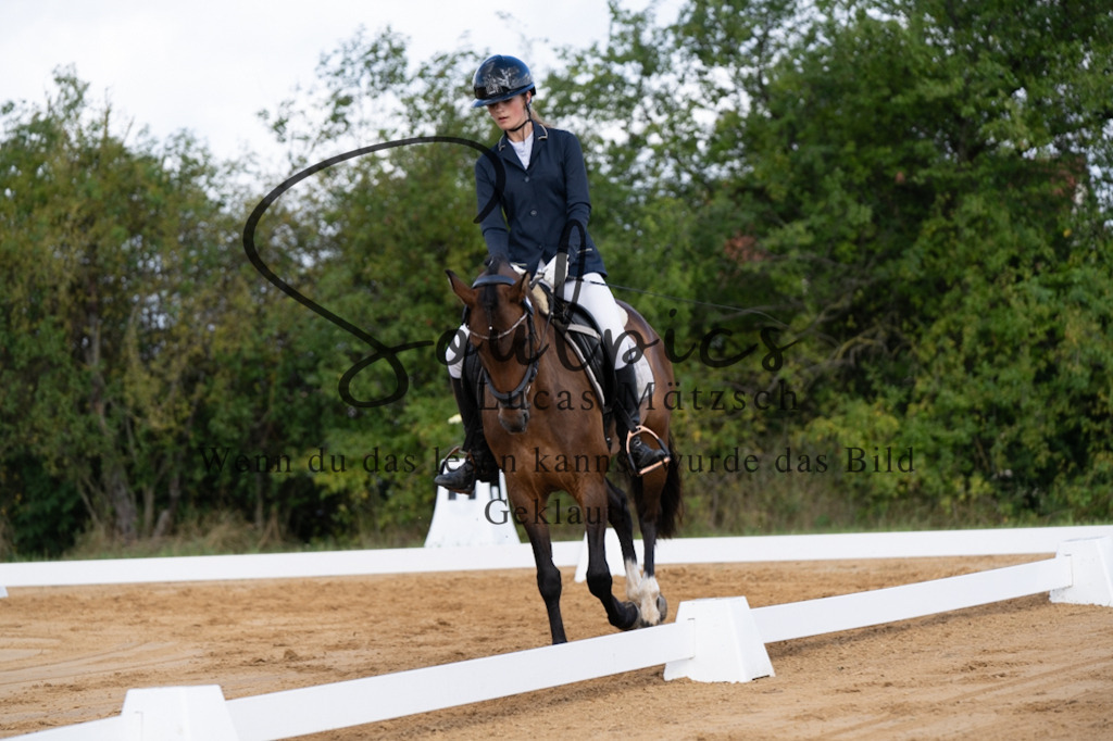 A7V05191 | Pferdefotograf