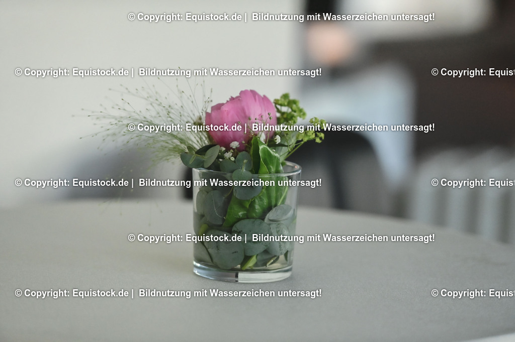 D78_3330 | equistock