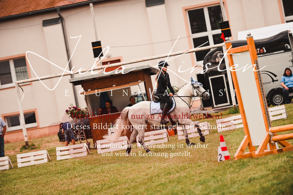 DSC_6986 | Pferde- und Turnierfotografie in Westsachsen. Pferdeportraits, Auftragszeichnungen und intuitive Kunst.