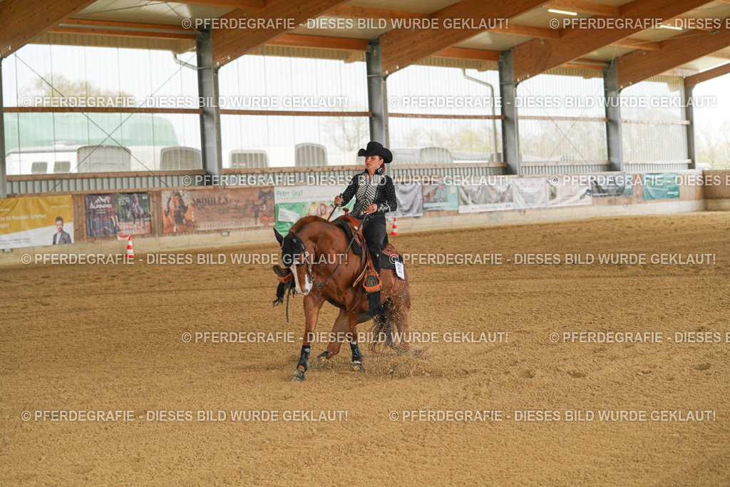 DSC07252 | Pferdegrafie