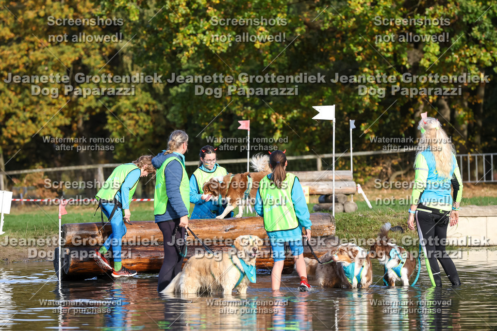 Dog Paparazzi - Strongdog 10-25-8472 | Dog Paparazzi Jeanette Grottendiek Fotografie & Videografie - Realisiert mit Pictrs.com