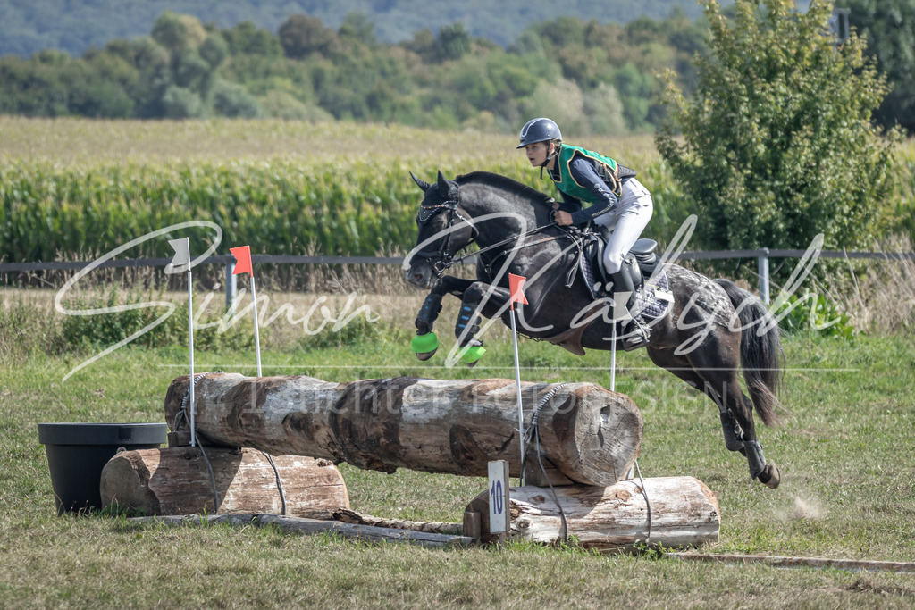 20250907-_3LR7927 | Tierfotografie Pferde, Hunde, Katzen, Haustiere.
Turnierfotografie Reitturniere, Reiten, Springreiten, Dressur in Hanau, dem Main-Kinzig-Kreis und dem Rhein-Main- Gebiet um Frankfurt