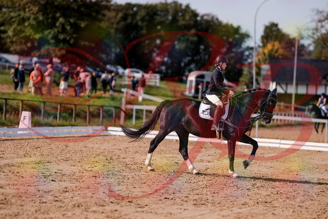 2026_10_03_Siefer-Hof_121556_Z81_18003941 | Professionelle Reitsport-, Turnier- und Eventfotografie von Robert Broda. Galerien mit ausgewählten und bearbeiteten Bildern direkt online ansehen und bestellen.