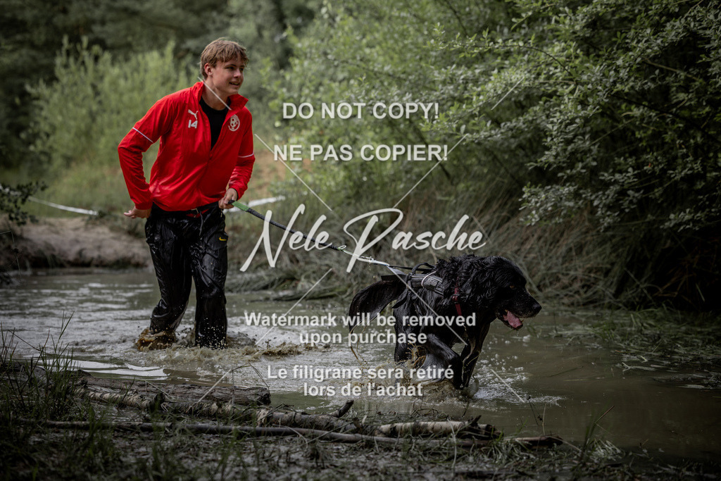 nelerasche_so0800-0930_08 | nelerasche
