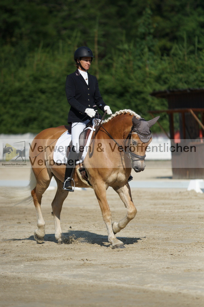 DSC01340 | equestrian-live-com