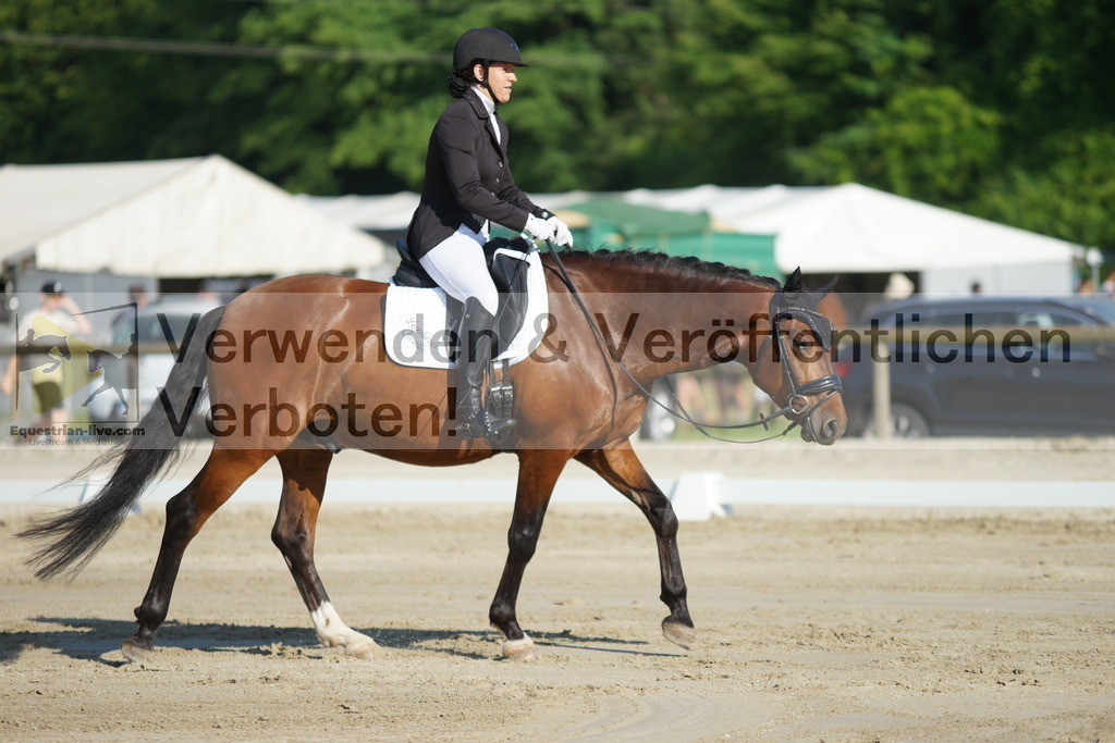 DSC04097 | equestrian-live-com
